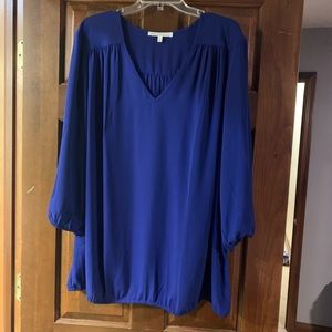 Blue Daniel Rainn Blouse